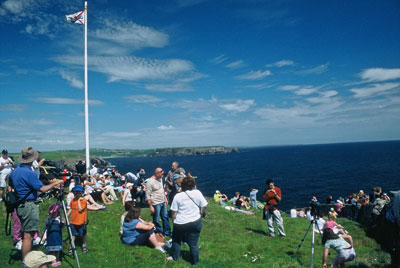 Whale watching group