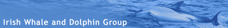 Irish Whale and Dolphin Group