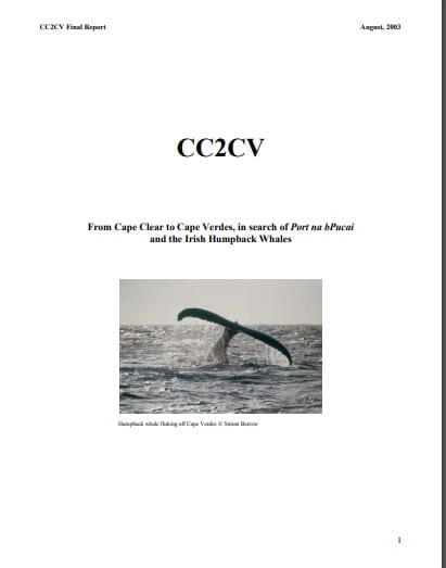 Cape Verde Humpback Expedition 2003 report