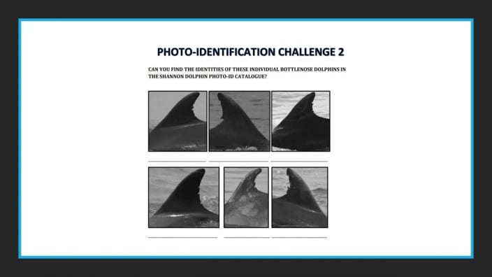 Photo-ID Challenge 2