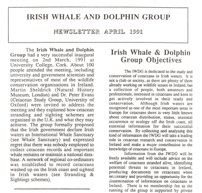 2 Irish Whale _ Dolphin Group Newsletter 04.91