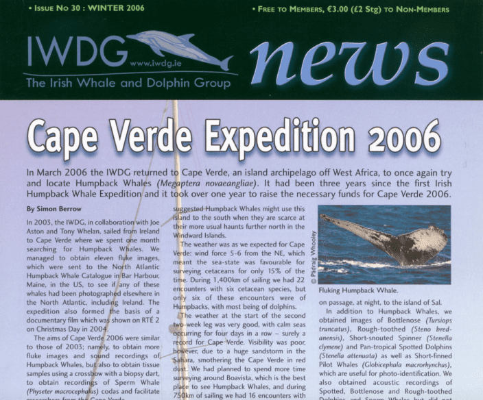 30 Irish Whale _ Dolphin Group News Wtr 2006