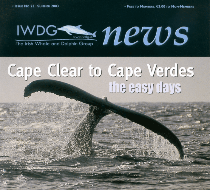 23 Irish Whale _ Dolphin Group News Sum 2003