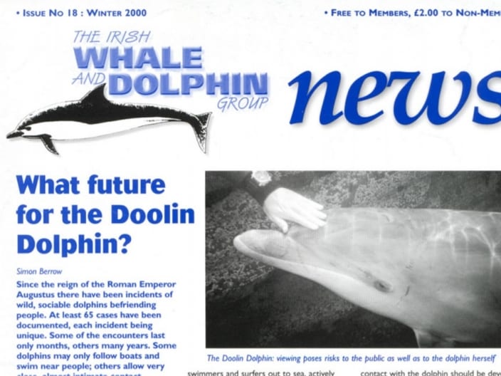 18 The Irish Whale _ Dolphin Group News Wtr 2000