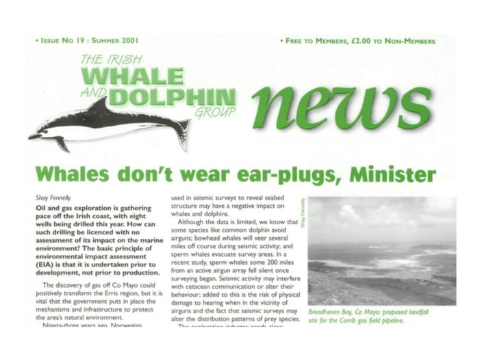 19 Irish Whale _ Dolphin Group News Sum 2001