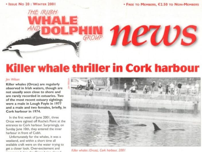 20 Irish Whale _ Dolphin Group News Wtr 2001