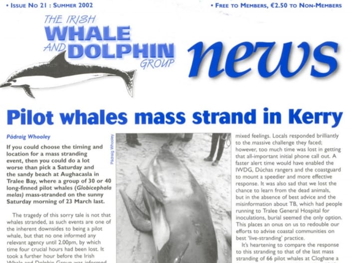 21 Irish Whale _ Dolphin Group News Sum 2002