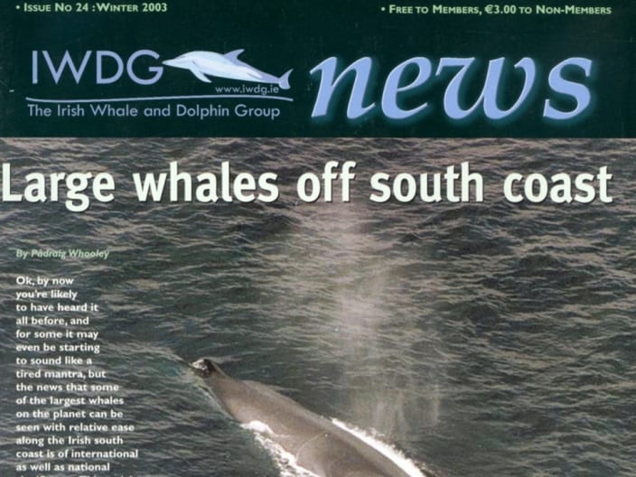 24 Irish Whale _ Dolphin Group News Wtr 2003