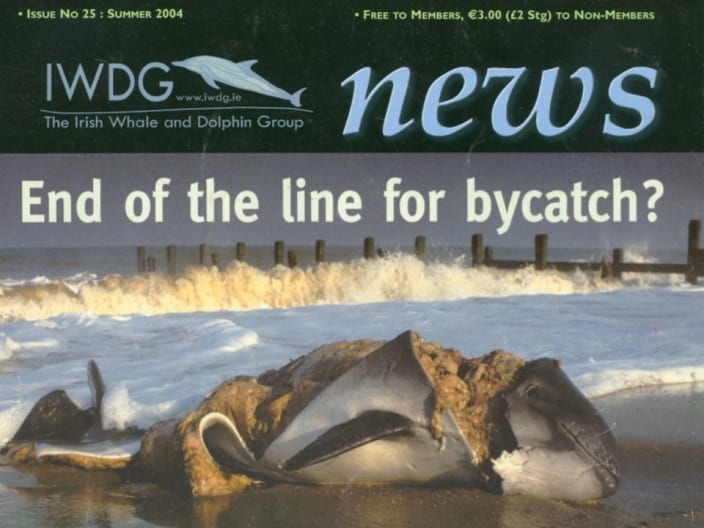 25 Irish Whale _ Dolphin Group News Sum 2004
