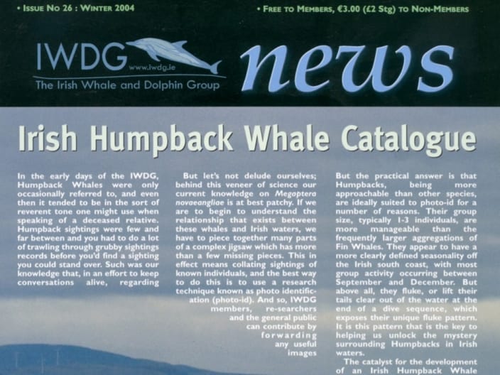 26 Irish Whale _ Dolphin Group News Wtr 2004