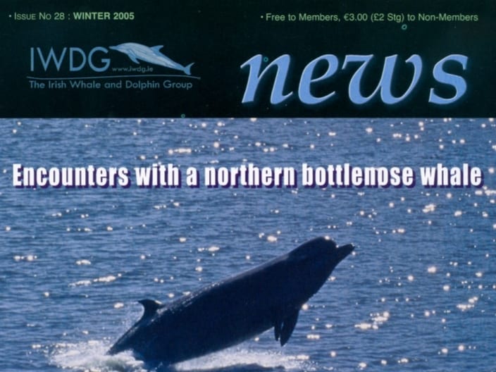 28 Irish Whale _ Dolphin Group News Wtr 2005
