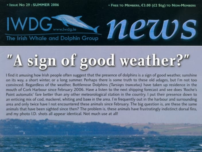 29 Irish Whale _ Dolphin Group News Sum 2006