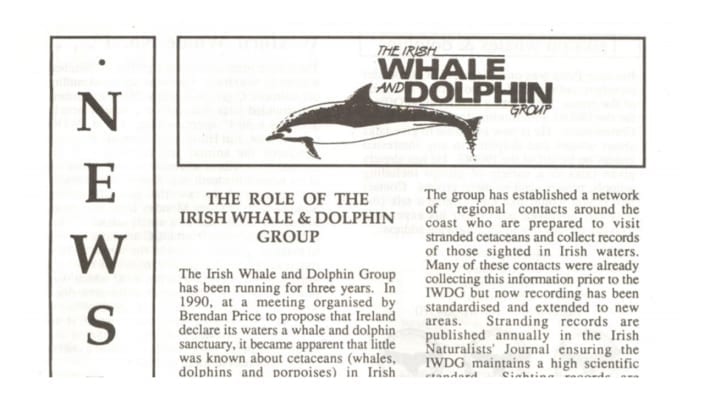6 Irish Whale _ Dolphin Group NewsletterWtr.93