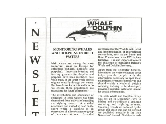 7 Irish Whale _ Dolphin Group Newsletter Spr.93
