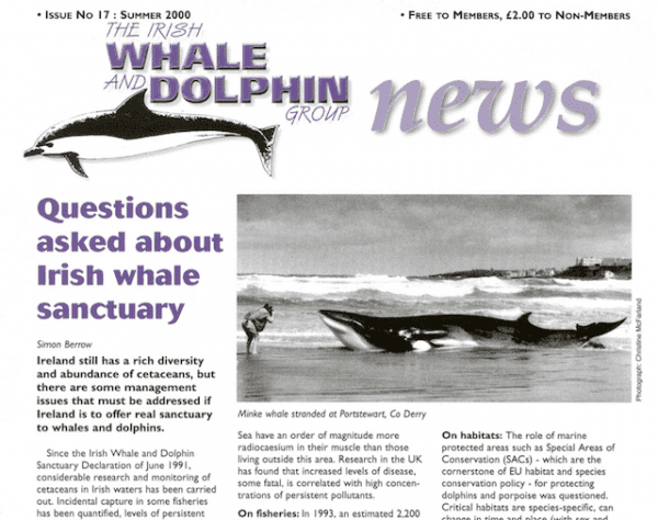17 The Irish Whale _ Dolphin Group News Sum 2000