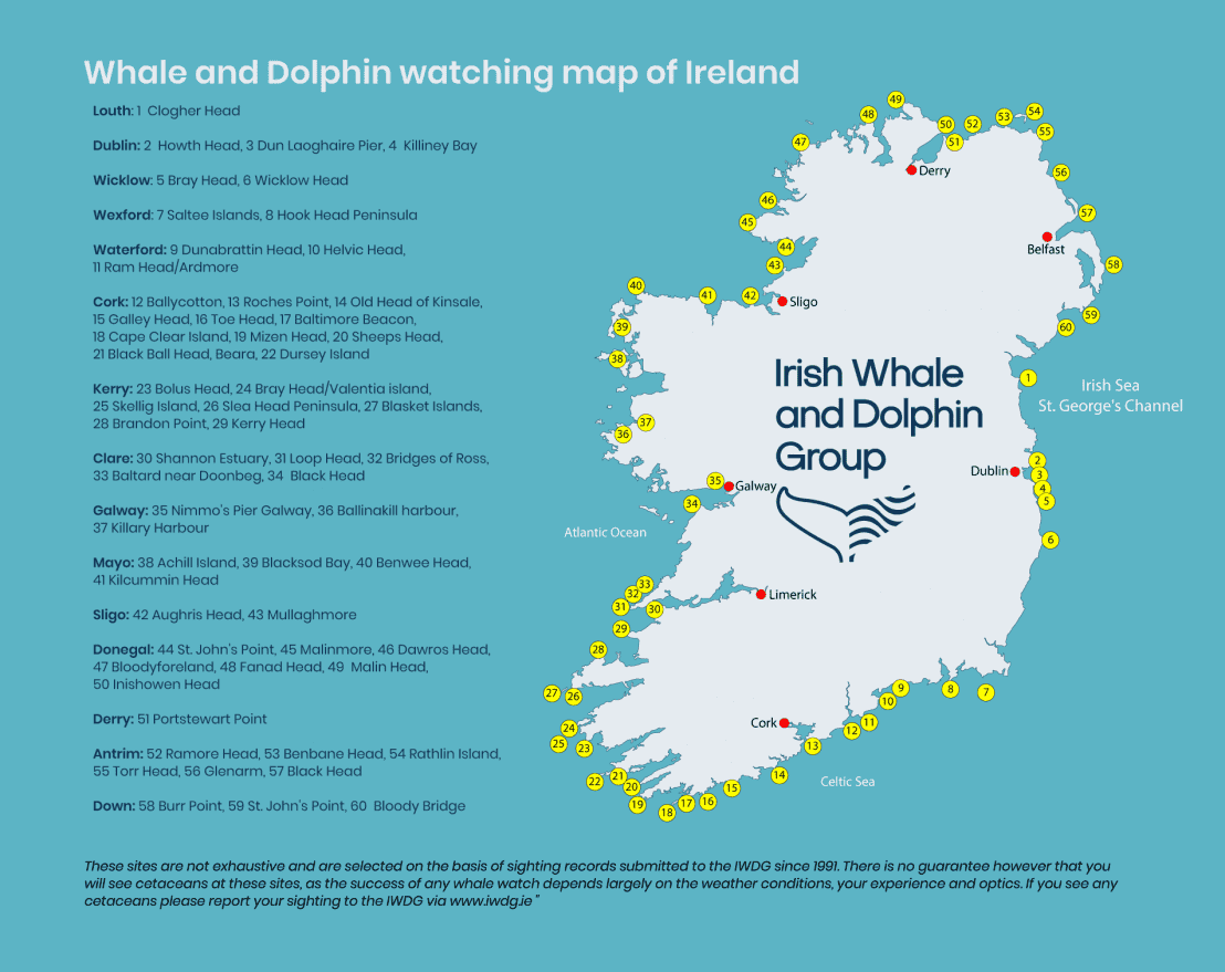 Ireland's Coastal Whale Trail Irish Whale and Dolphin Group