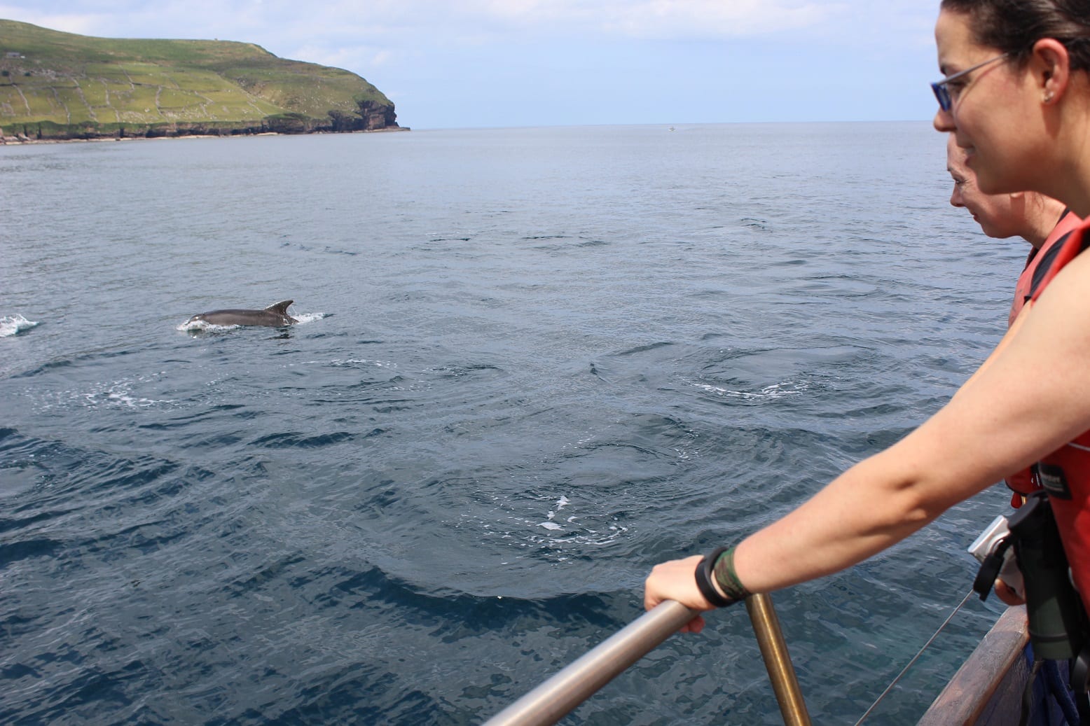 Celtic Mist Summer Survey Schedule 2019: Diary of Week 10 | Irish 