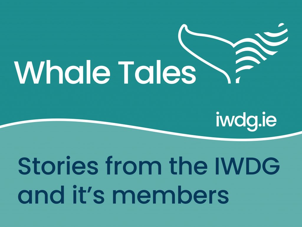 Whale Tales | Irish Whale and Dolphin Group