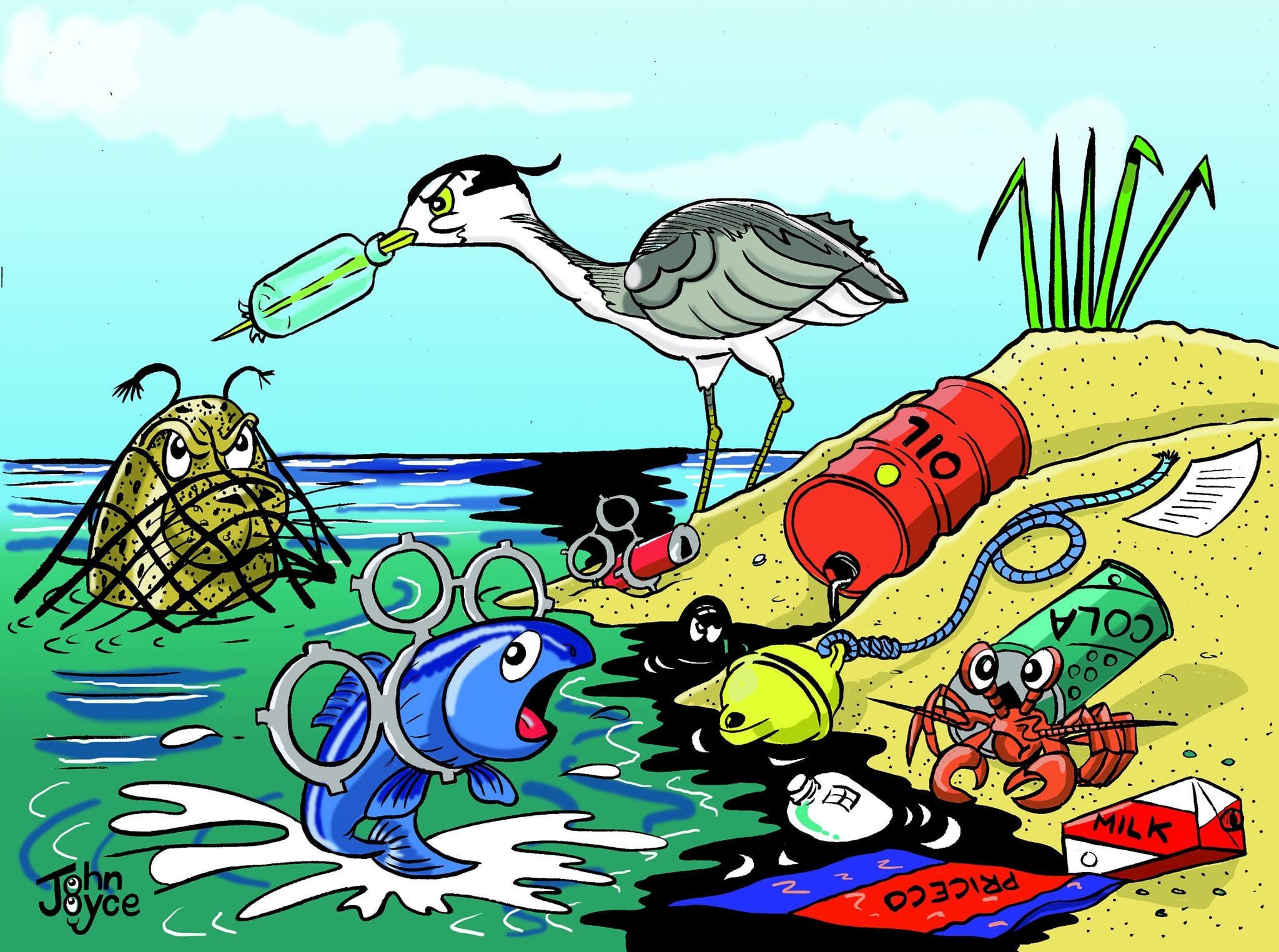 Junior Section Irish Whale and Dolphin Group