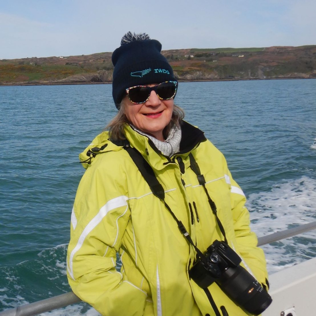 Sheila Stokes | Irish Whale and Dolphin Group