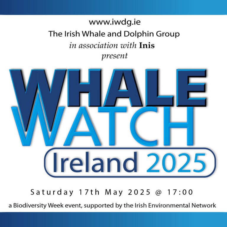 Whale Watch Ireland 2025 Saturday 17th May 1700 Irish Whale and