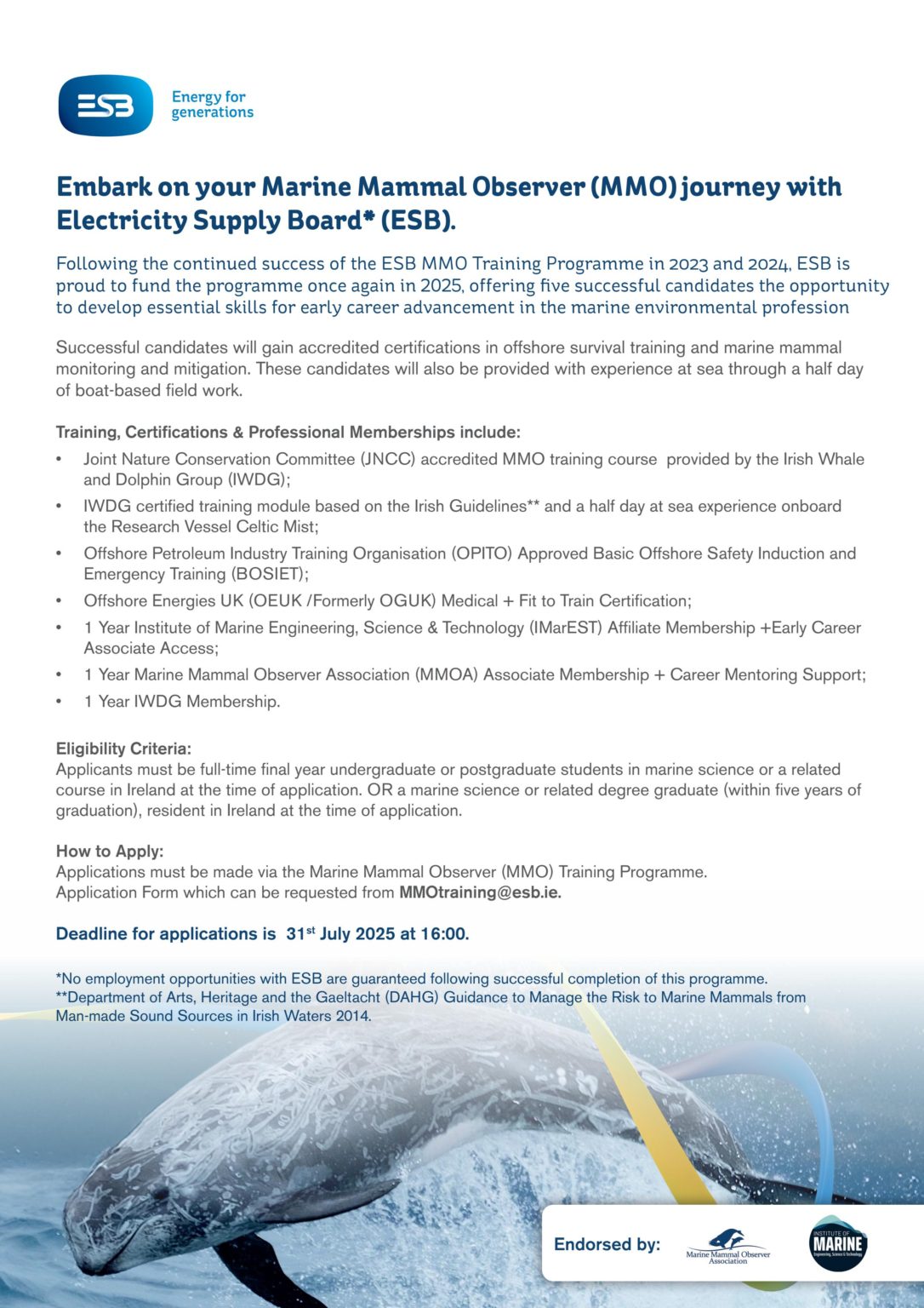 ESB MMO Training Programme 2025 | Irish Whale and Dolphin Group