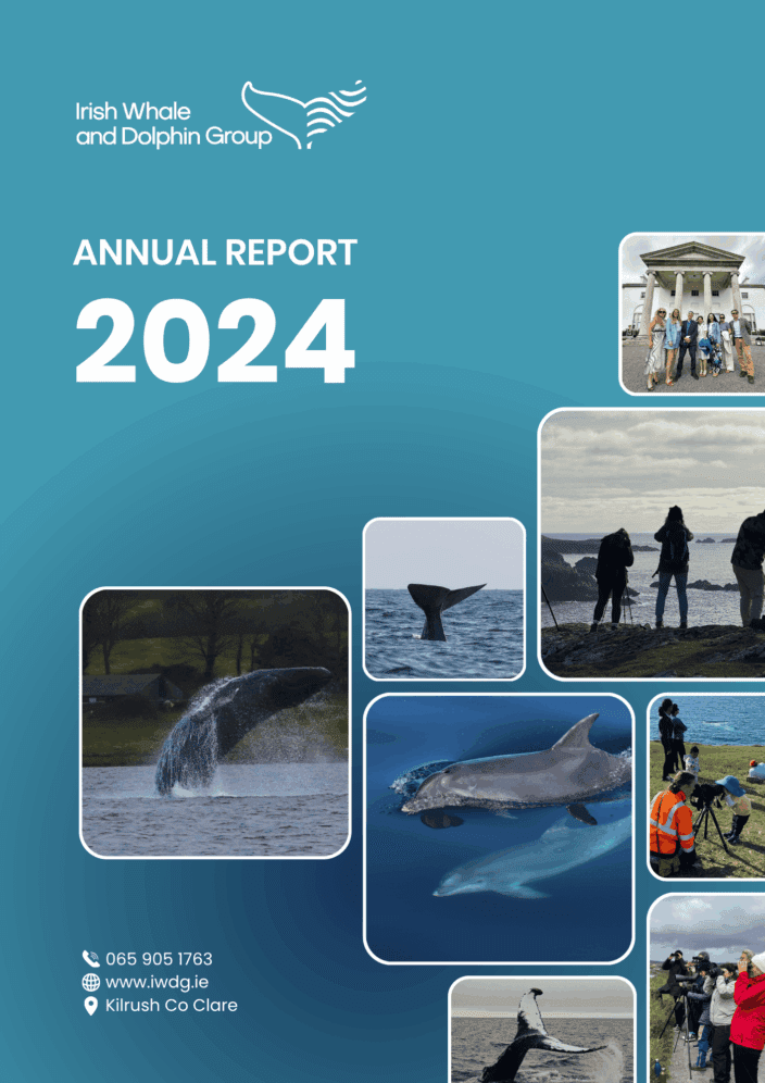 Annual Report 2024 Low Res