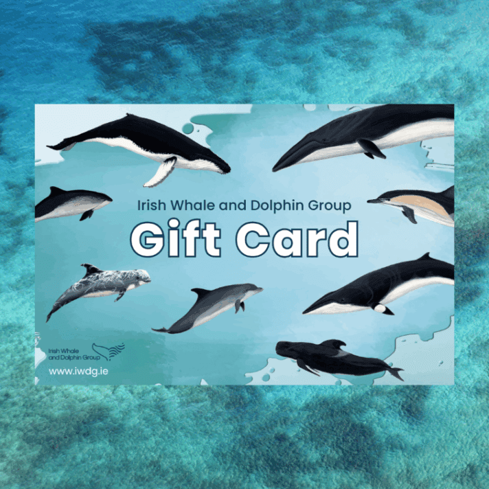IWDG Gift Voucher