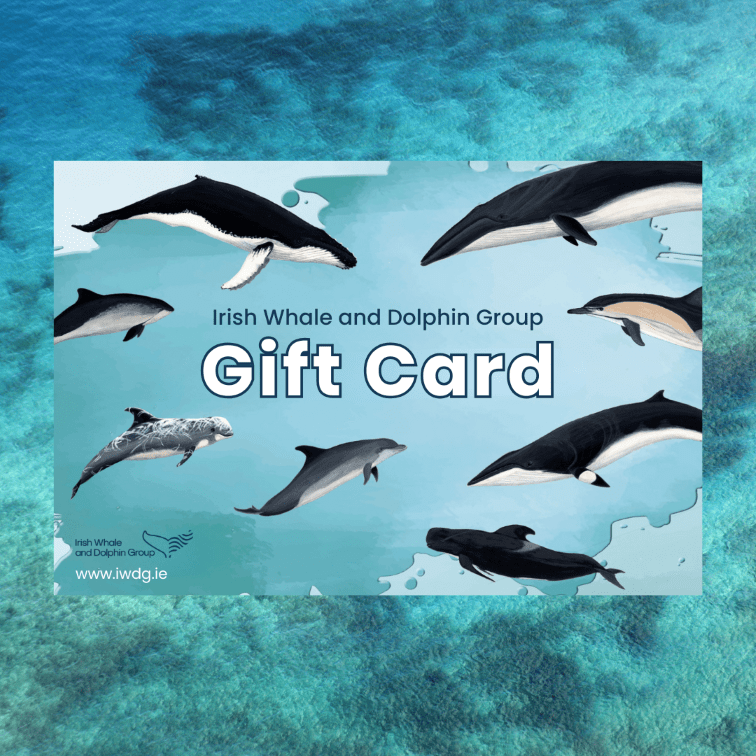 IWDG Gift Voucher
