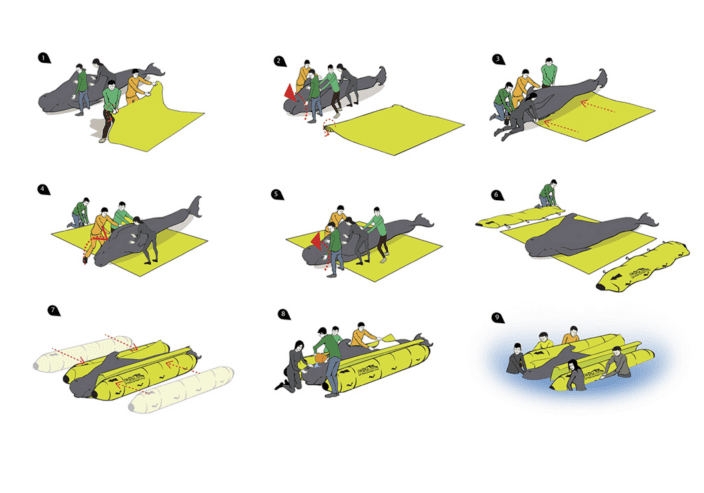 Pontoon Response Rescue in case of stranding