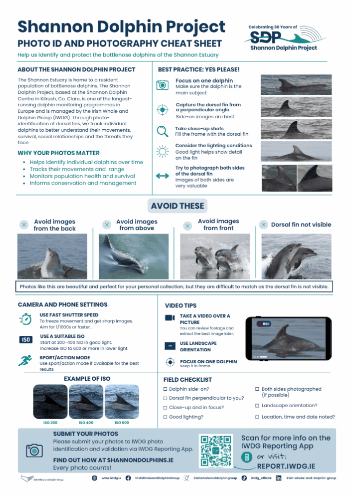 Photo Identification Cheat Sheet