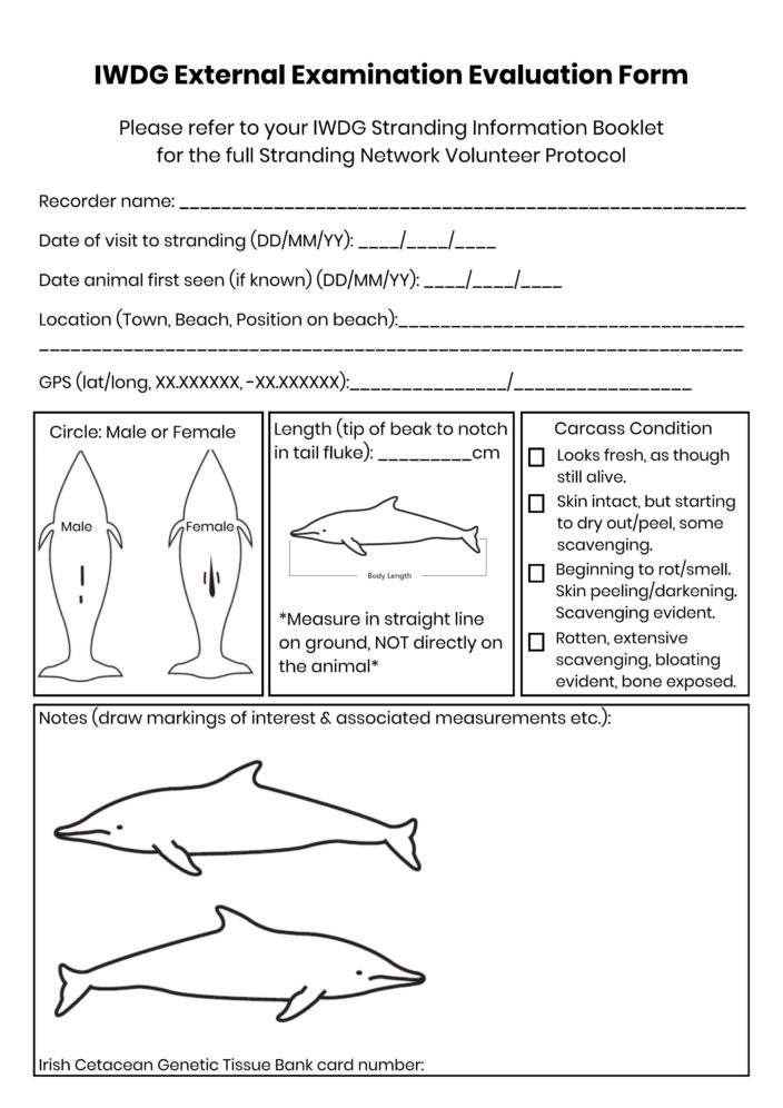 IWDG Stranding External Examination Evaluation Form