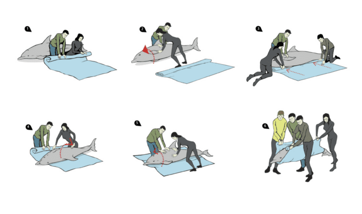 Tarp Response Rescue in case of stranding