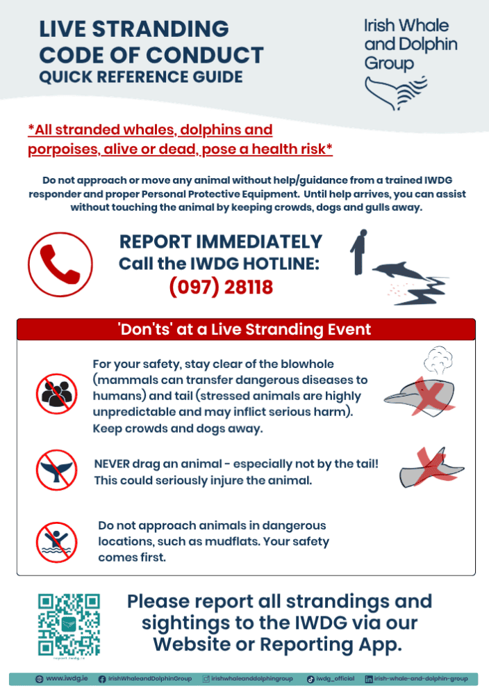 Cetacean Live Stranding Code of Conduct