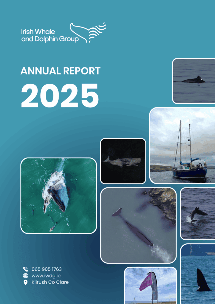 Annual Report 2025