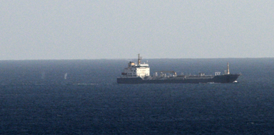 Fin whales off freighter's stern, from Sherkin Isl., 11/11/12 © Robbie Murphy