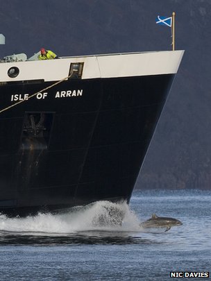 "Clet" bow-riding a Hebridean Ferry 02/12/14 