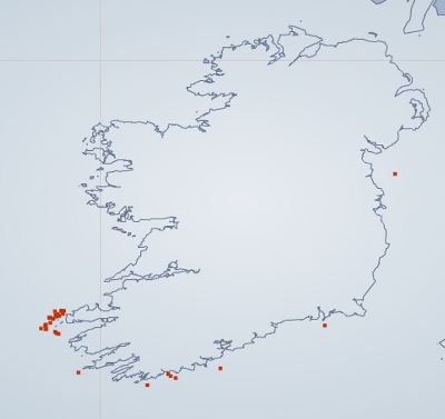 Map of all validated Irish humpback sightings year to date 2013 © IWDG