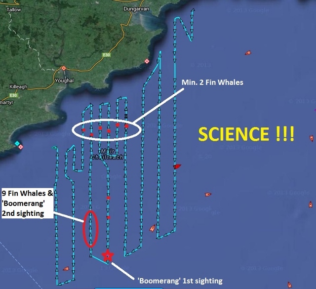 Map of Celtic Sea Herring survey effort on 22/10/14